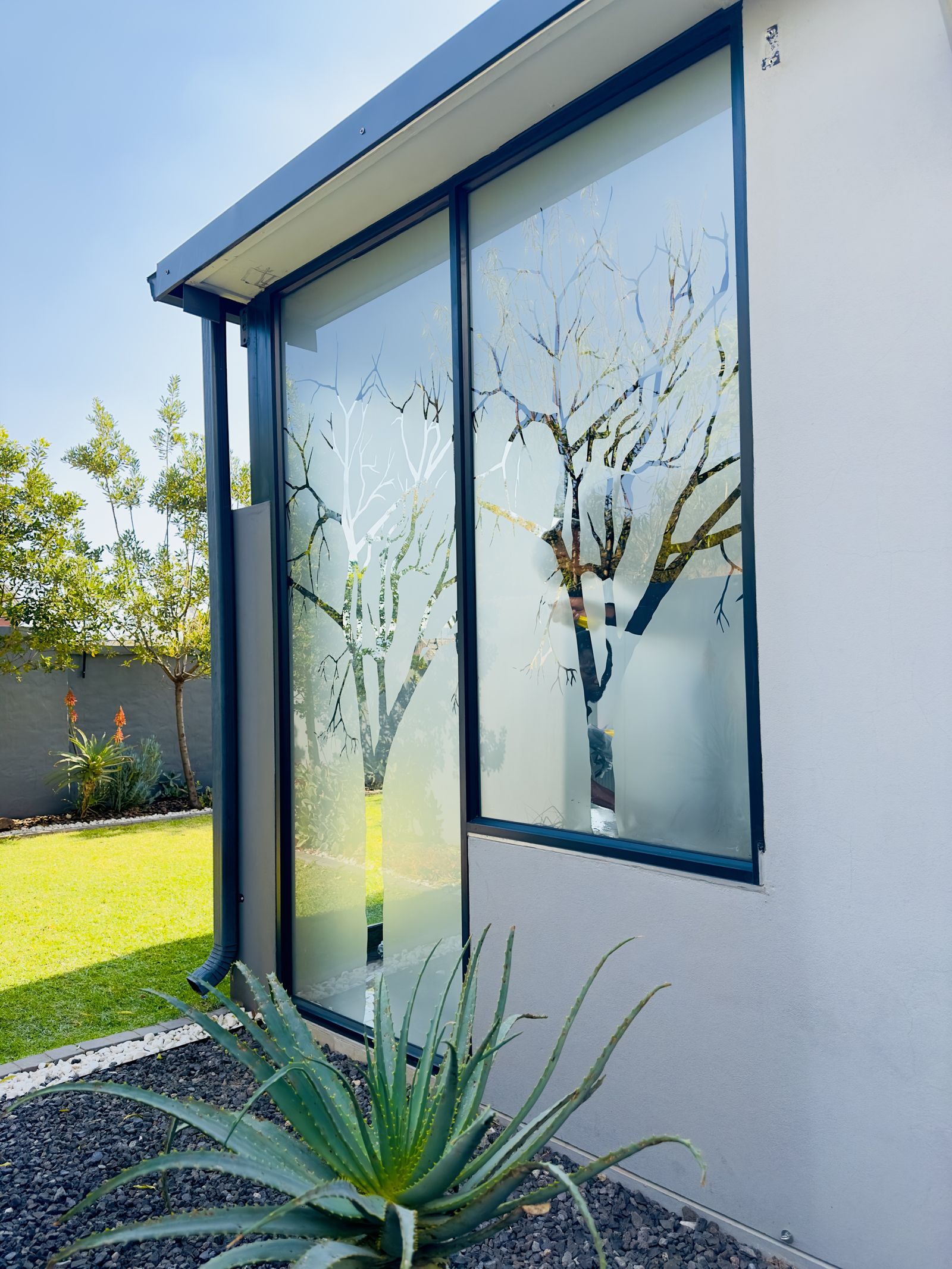Decorative & privacy frosting